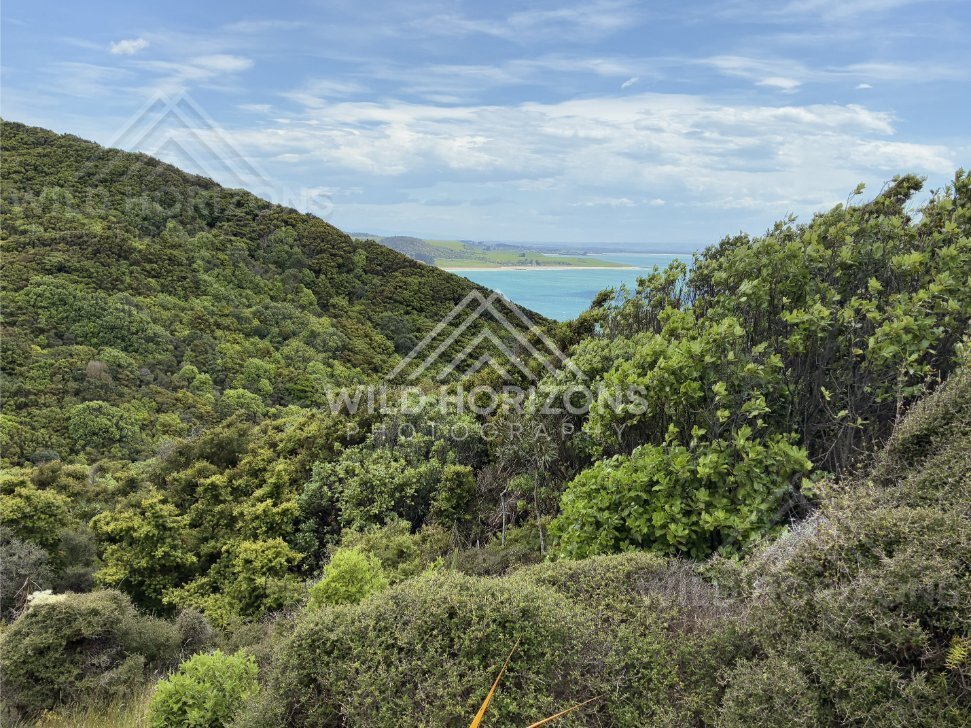 Natural Catlins Beach With Rolling Surf, The Catlins, New Zealand