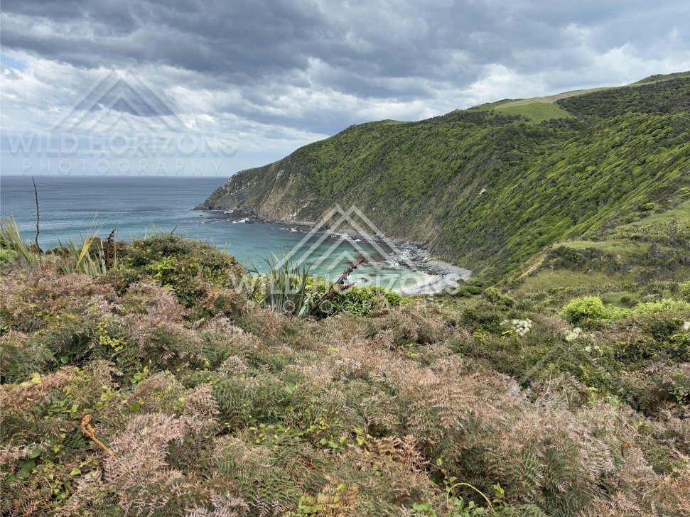Turquoise Coastal Bay and Cliffs, The Catlins, New Zealand