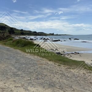 Sandy Beach and Coastal Track, The Catlins, New Zealand