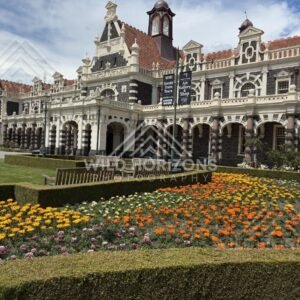Sweeping Coastal Cliffs Above Deep Blue Ocean, Dunedin Railway Station, New Zealand