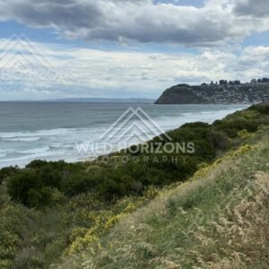 Calm Lakeside View with Forested Hills, Dunedin Coast, New Zealand