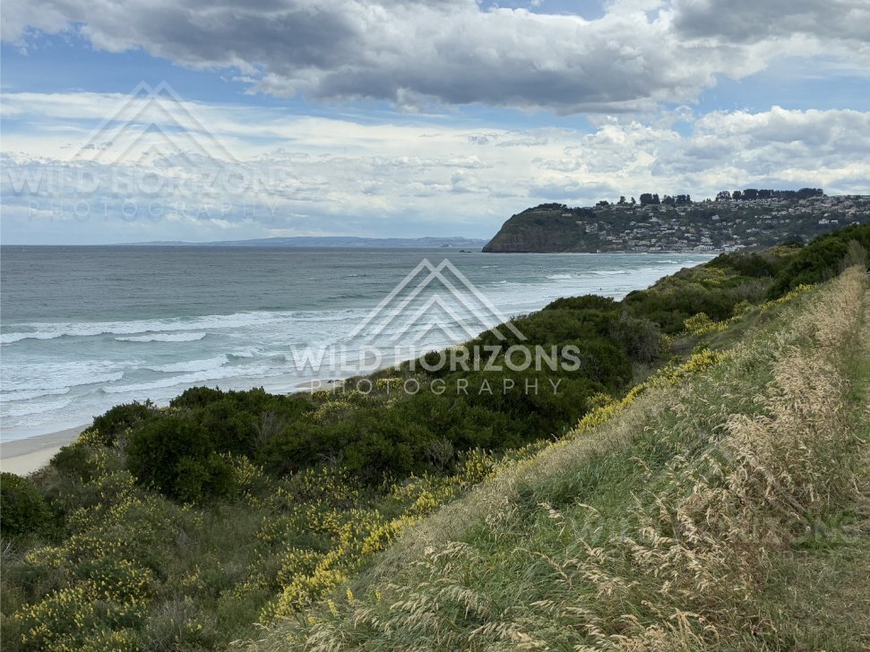 Calm Lakeside View with Forested Hills, Dunedin Coast, New Zealand