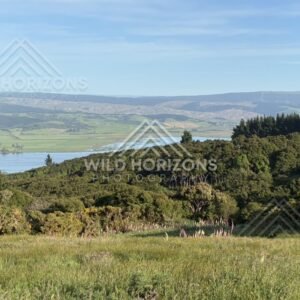 Wide View Across Rural Lake and Farmland, Waihola Lookout, New Zealand