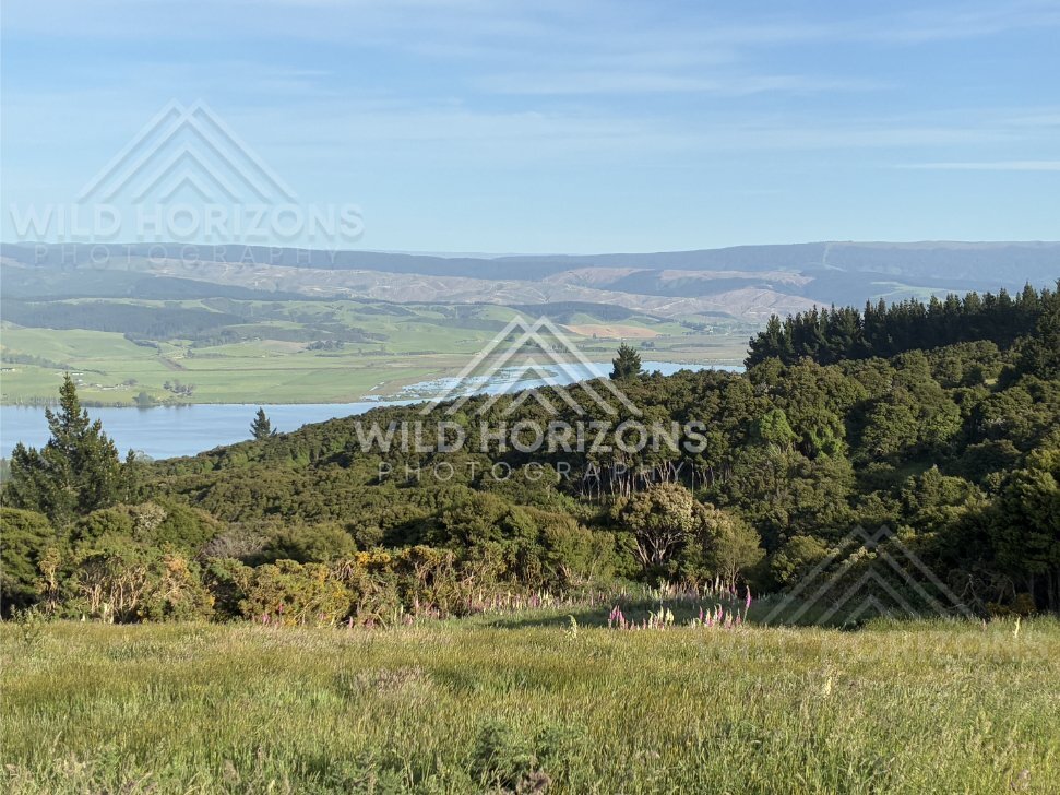 Wide View Across Rural Lake and Farmland, Waihola Lookout, New Zealand