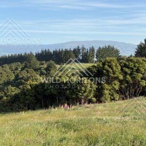Open Lake and Distant Hills Under Wide Sky, Waihola Lookout, New Zealand