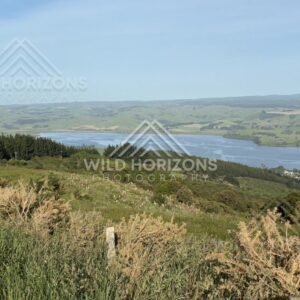 Quiet Lake Shoreline and Open Water, Waihola Lookout, New Zealand