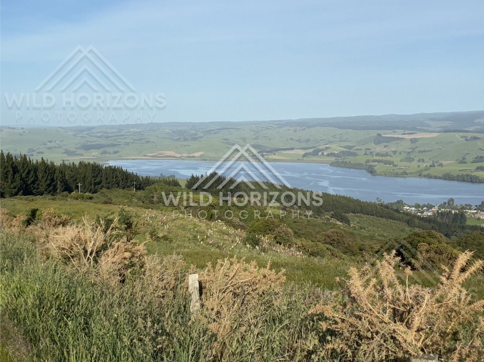 Quiet Lake Shoreline and Open Water, Waihola Lookout, New Zealand