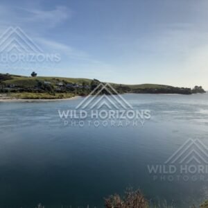 Calm Shallow Estuary with Coastal Grasses, Taieri Mouth, New Zealand