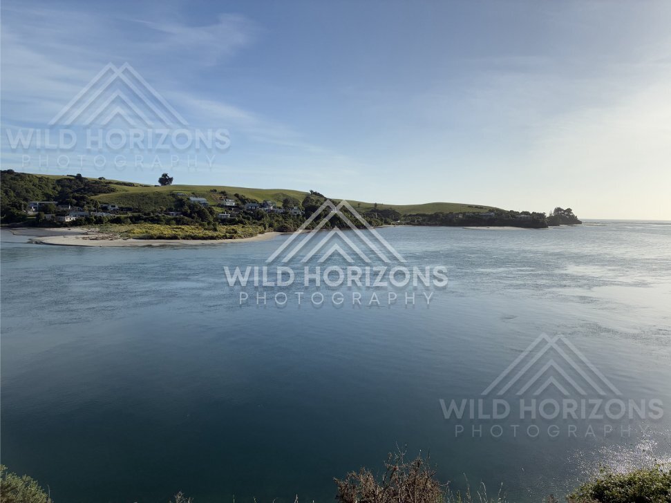 Calm Shallow Estuary with Coastal Grasses, Taieri Mouth, New Zealand