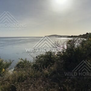 Tidal Flats and Water Channels, Taieri Mouth, New Zealand