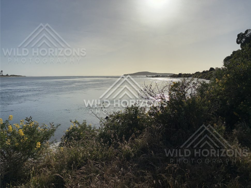 Tidal Flats and Water Channels, Taieri Mouth, New Zealand