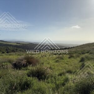 Lookout View Across Lake with Fence in Foreground, Waihola Lookout, New Zealand