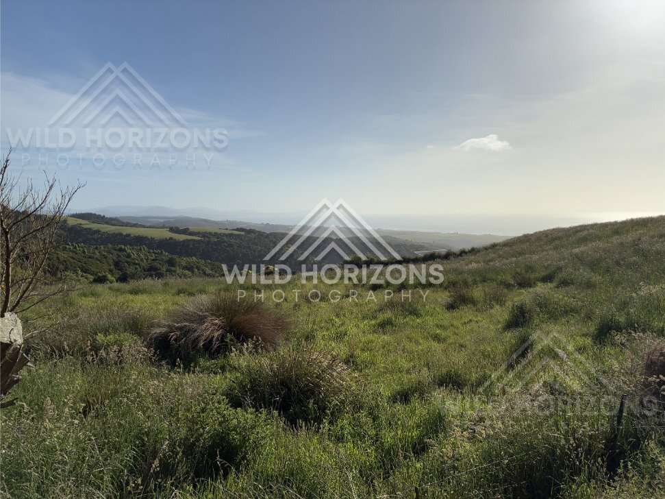 Lookout View Across Lake with Fence in Foreground, Waihola Lookout, New Zealand