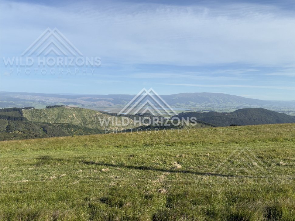 Elevated Lake View Framed by Fence Posts, Waihola Lookout, New Zealand