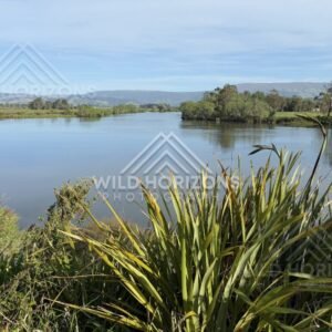 Narrow River Through Dense Bush, Taieri River, New Zealand