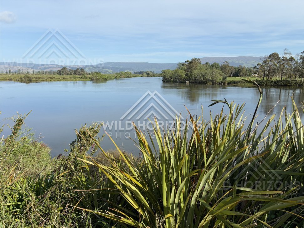 Narrow River Through Dense Bush, Taieri River, New Zealand