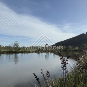 Curving River with Tree-Lined Banks, Taieri River, New Zealand