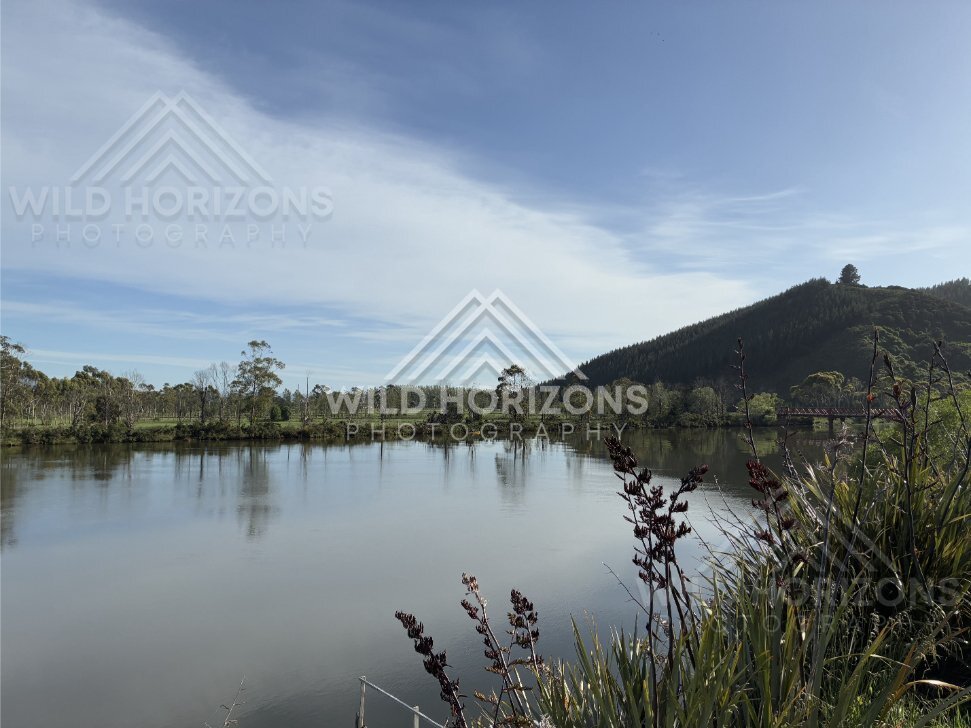 Curving River with Tree-Lined Banks, Taieri River, New Zealand