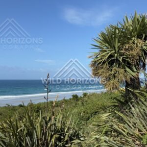 Rocky Headland and Breaking Waves, Brighton Beach, New Zealand