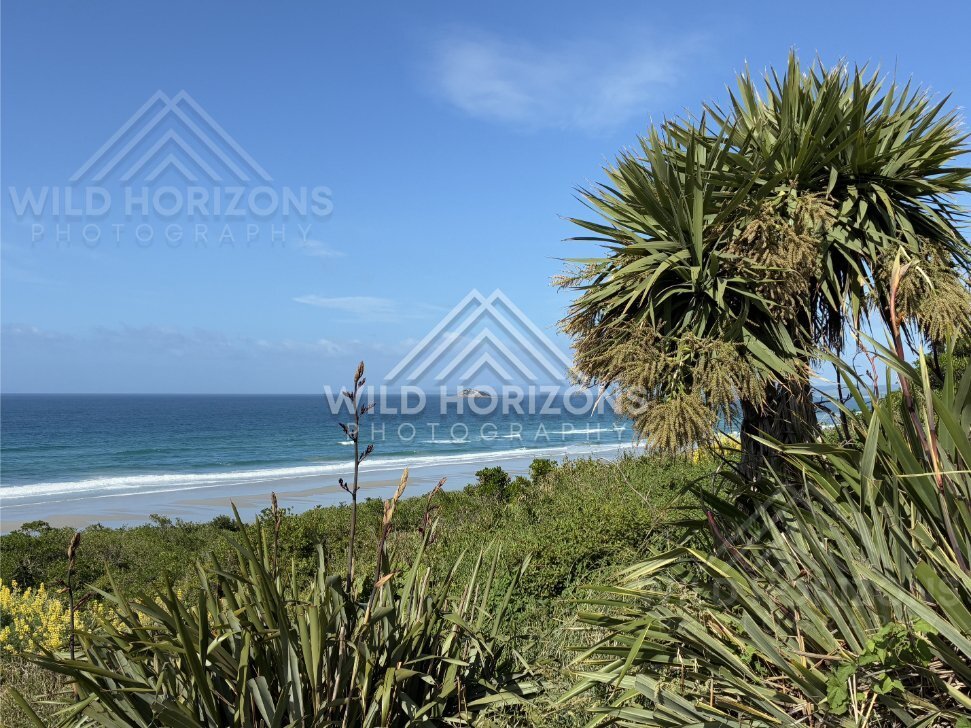 Rocky Headland and Breaking Waves, Brighton Beach, New Zealand
