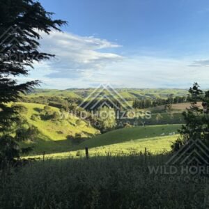 Low Shrubs Along River in Open Valley, Clutha River, New Zealand