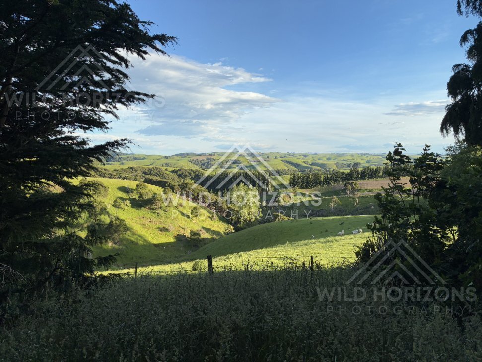 Low Shrubs Along River in Open Valley, Clutha River, New Zealand