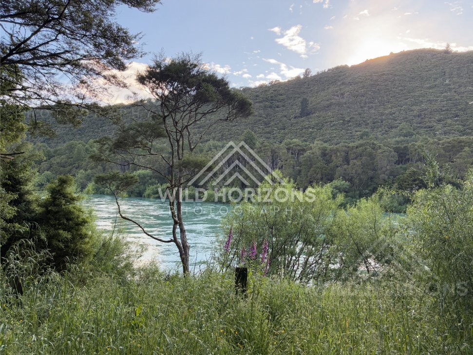 Quiet River Edge With Bush Reflections, Clutha River, New Zealand