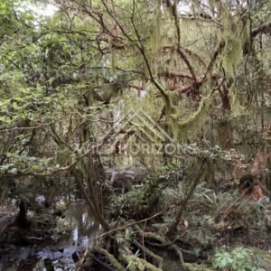 Park Entrance With Fence and Track, Dolamore Park, New Zealand