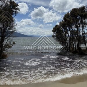 Shallow Lakeshore With Trees in the Water, Lake Manapouri, New Zealand