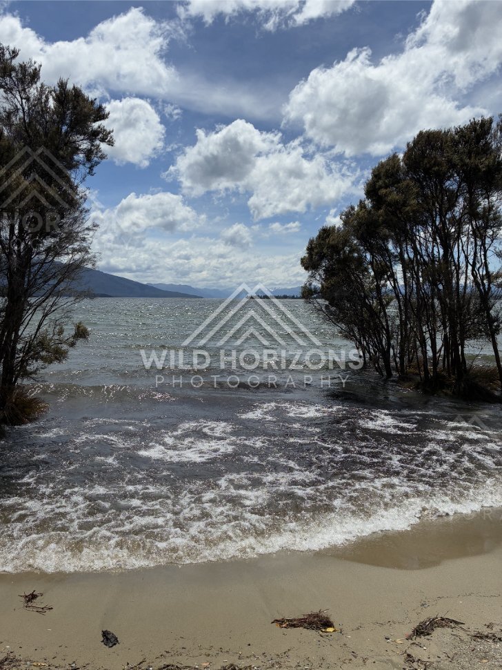Shallow Lakeshore With Trees in the Water, Lake Manapouri, New Zealand