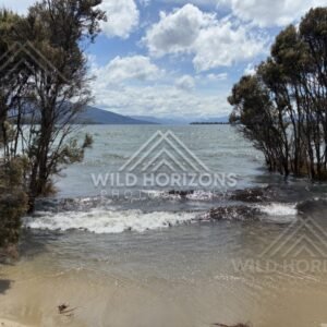 Submerged Trees and Waves on Lake Manapouri, New Zealand
