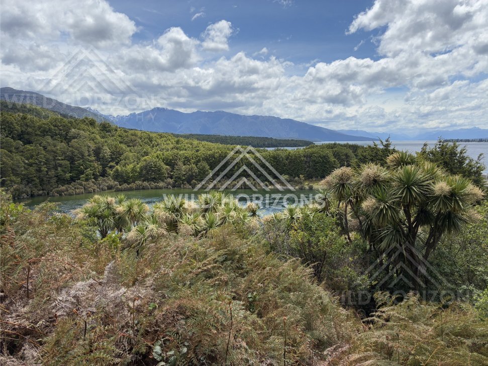 Meandering Wetland Stream With Purple Lupins, Te Anau Weir, New Zealand