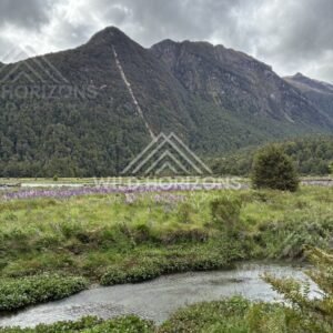 Rugged Peaks Above Wetlands, Milford Road, New Zealand