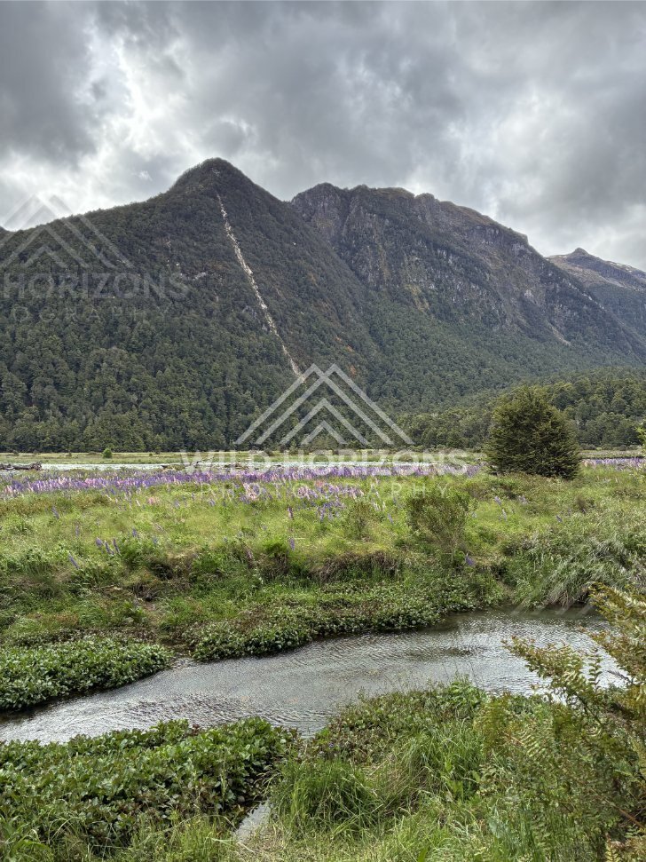 Rugged Peaks Above Wetlands, Milford Road, New Zealand