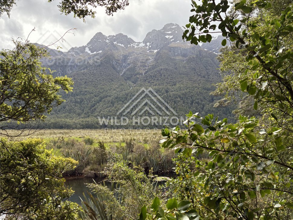 Calm Wetland Water Beneath Jagged Peaks, Milford Road, New Zealand