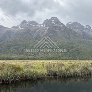 Mirror Lakes Reflections in Still Dark Water, Milford Road, New Zealand