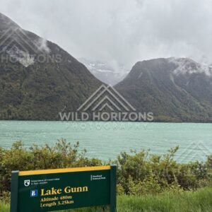 Lake Gunn Sign Beside the Lakeshore, Milford Road, New Zealand