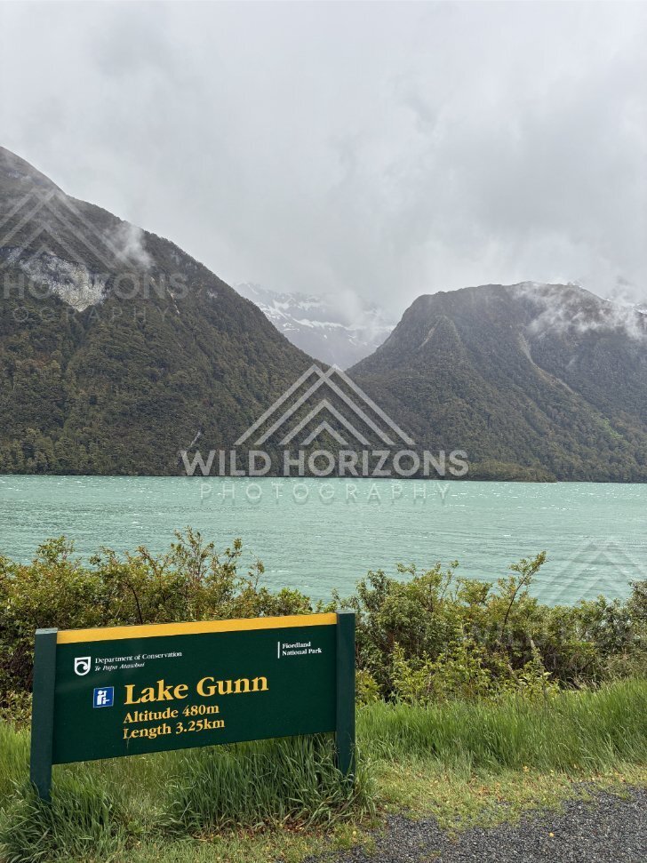 Lake Gunn Sign Beside the Lakeshore, Milford Road, New Zealand