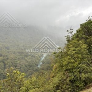 Multiple Thin Waterfalls on Misty Cliffs, Milford Road, New Zealand