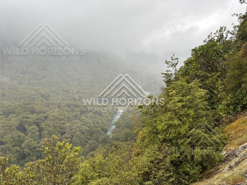 Multiple Thin Waterfalls on Misty Cliffs, Milford Road, New Zealand
