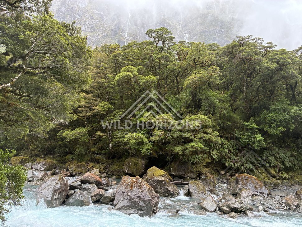 Rainy Cliff Face Marked by Waterfall Streaks, Milford Road, New Zealand