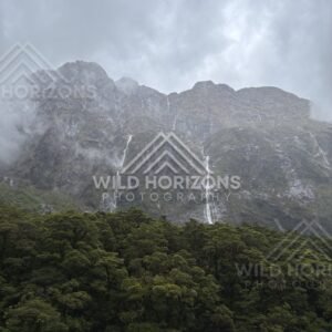 Storm Waterfalls Above Saturated Rainforest, Milford Road, New Zealand