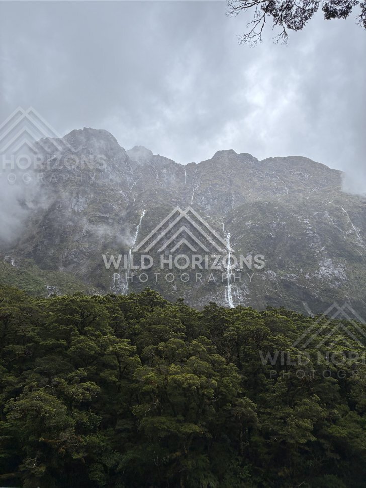 Storm Waterfalls Above Saturated Rainforest, Milford Road, New Zealand