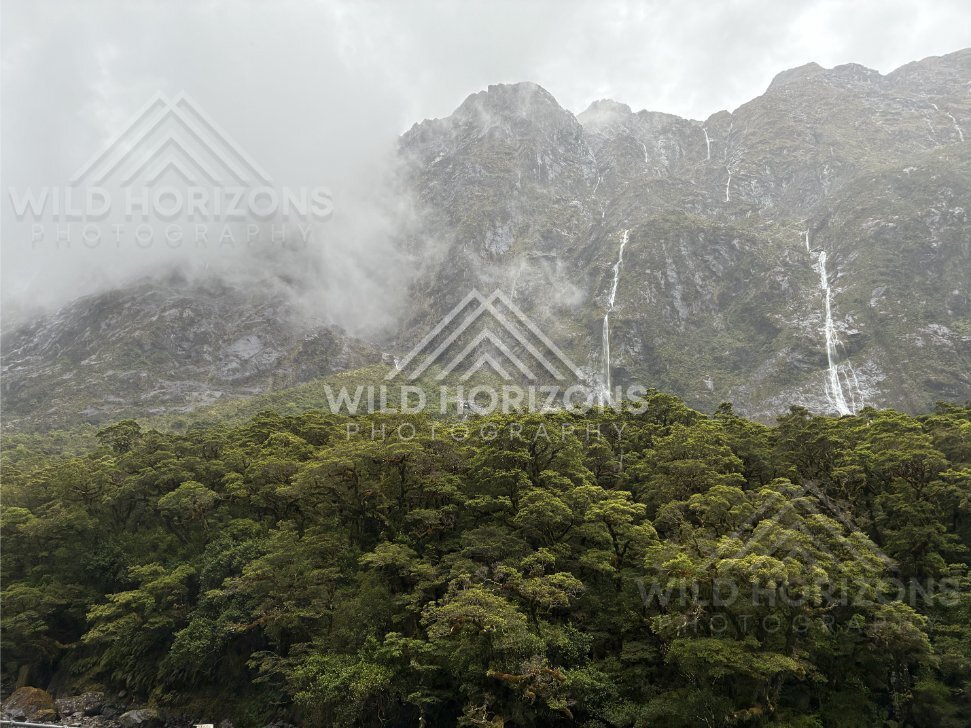 Misty Valley Layers With a Distant Mountain Waterfall, Milford Road, New Zealand