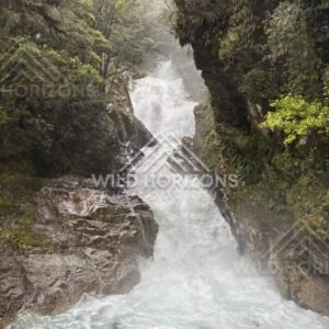 Waterfall surging through a rainforest gorge on Milford Road, New Zealand