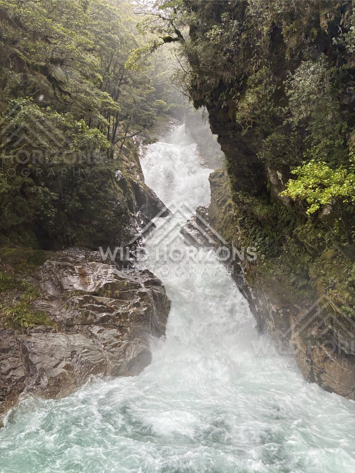 Waterfall surging through a rainforest gorge on Milford Road, New Zealand