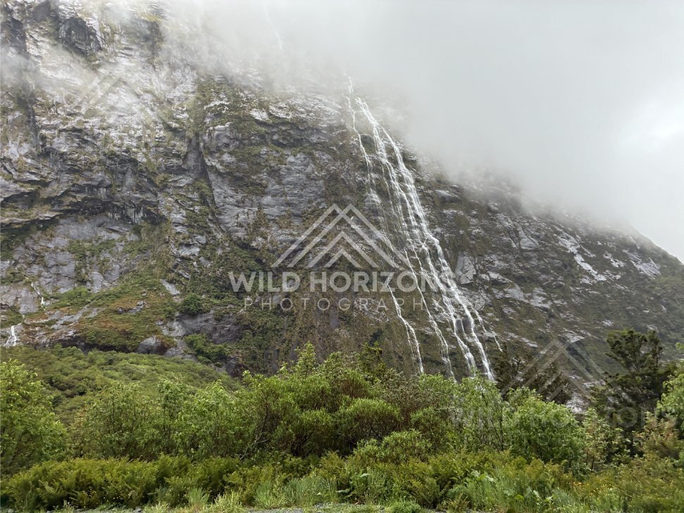 Braided waterfall spilling from low cloud on Milford Road, New Zealand