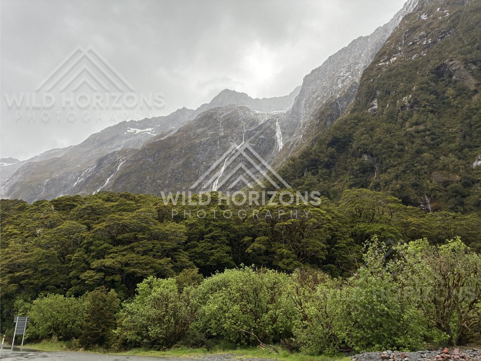 Forested Fiordland valley with distant falls on Milford Road, New Zealand