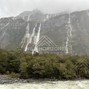 Waterfall-laced cliff above a swollen river on Milford Road, New Zealand