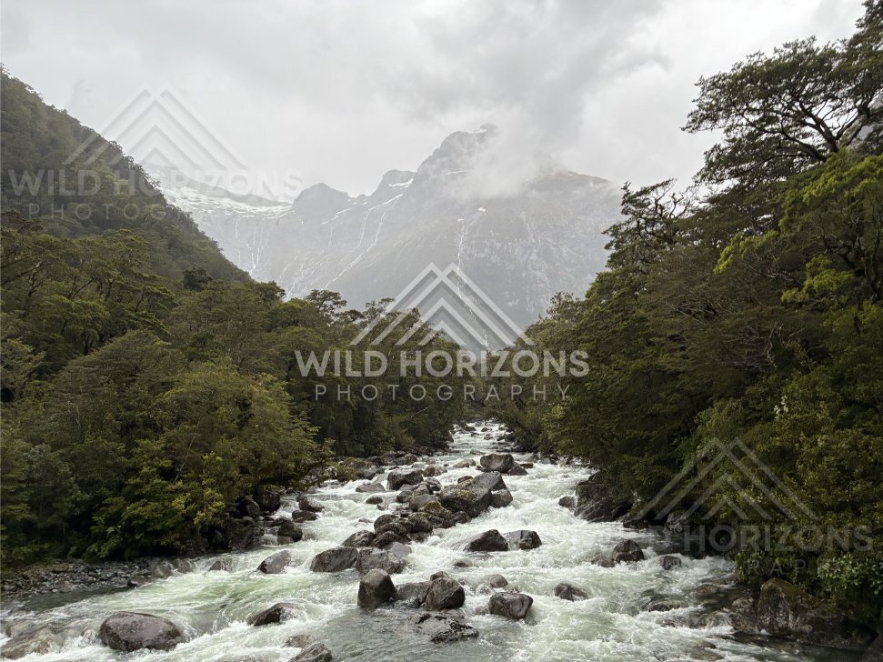 Raging Fiordland river framed by forest and cloud, Milford Road, New Zealand